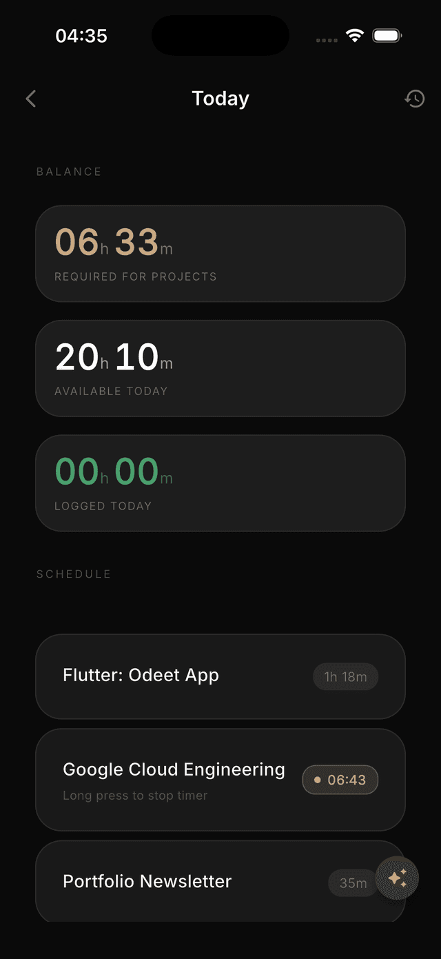 Today view showing daily time balance and project schedule
